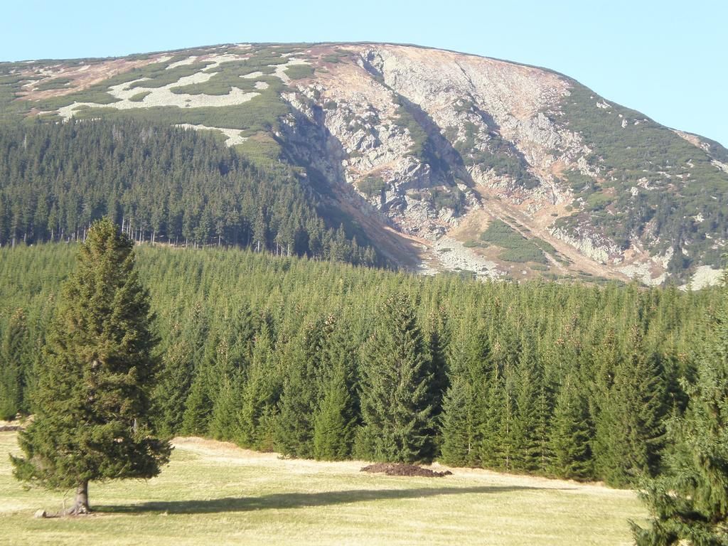 Ubytování U Vořechovských Pec pod Snezkou Exterior foto